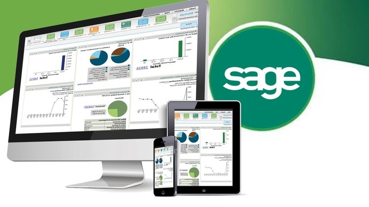 Types of Companies That Go For Sage
