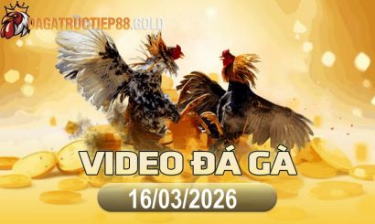 img video da ga cpc4 1773705619
